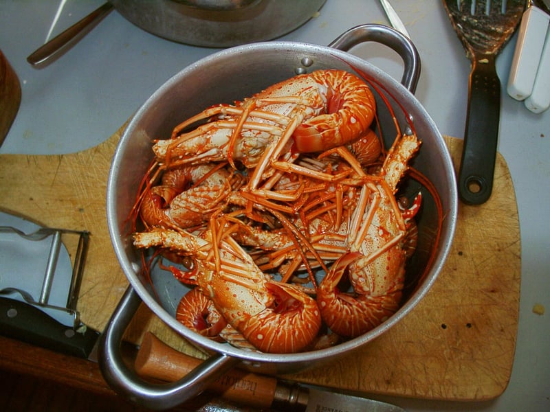 Cooking Classes